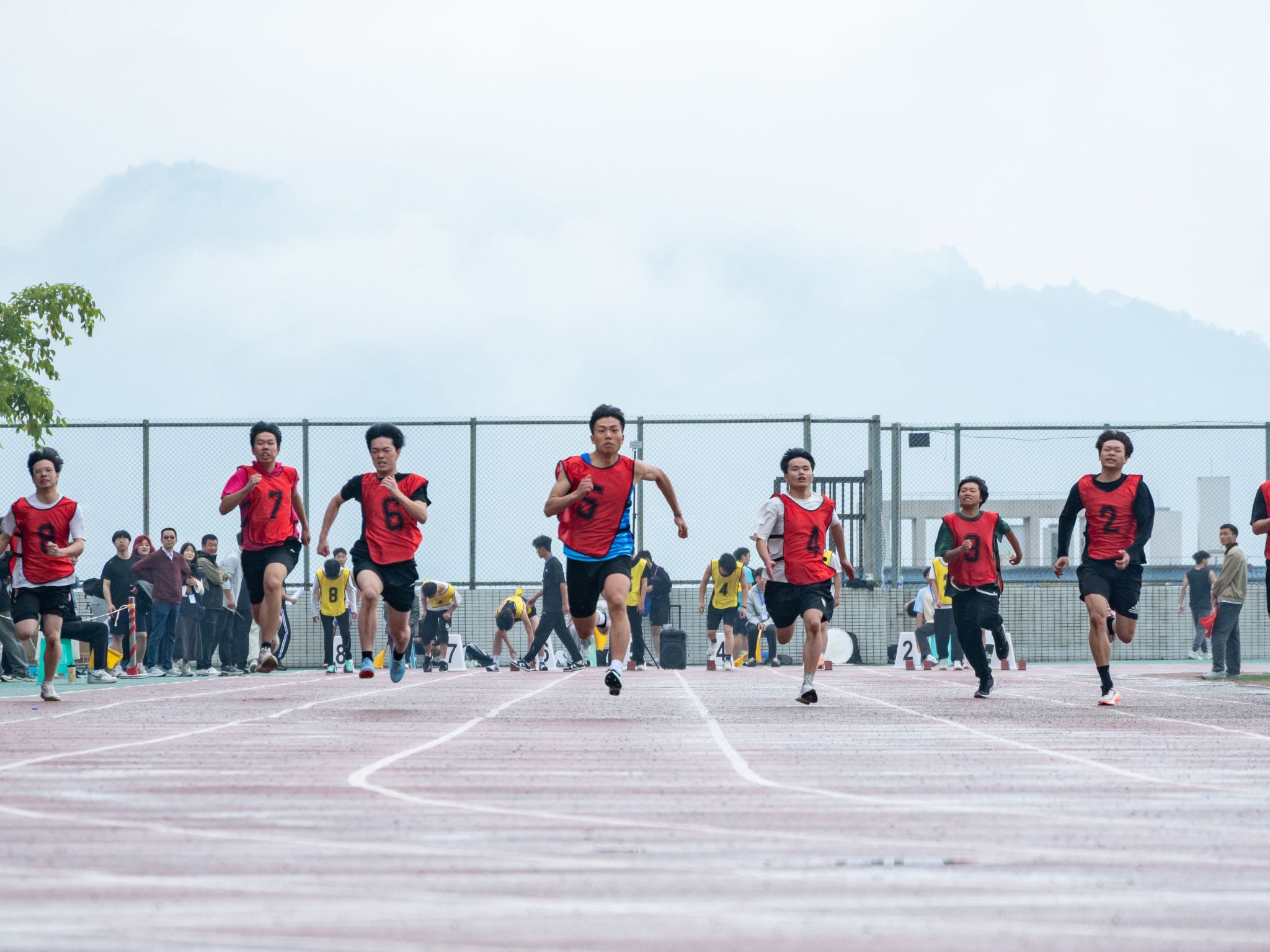 2024澳门2024免费原料
